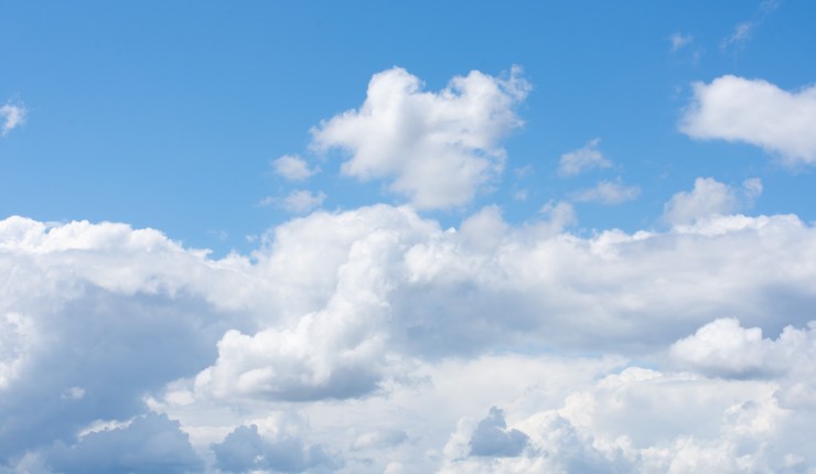 Non-Artificial Intelligence