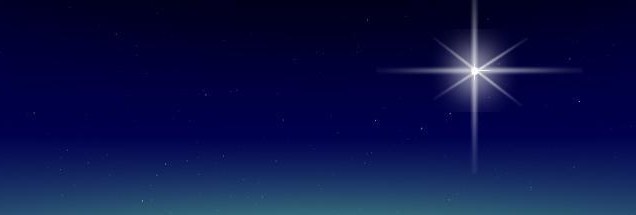 source: https://www.seiyaku.com/images/star-of-bethlehem-large.jpg